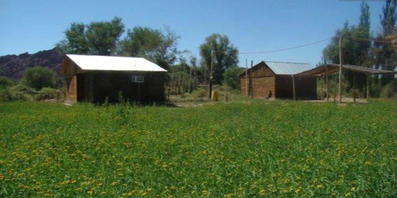 מלון Hosteria Huaco מראה חיצוני תמונה