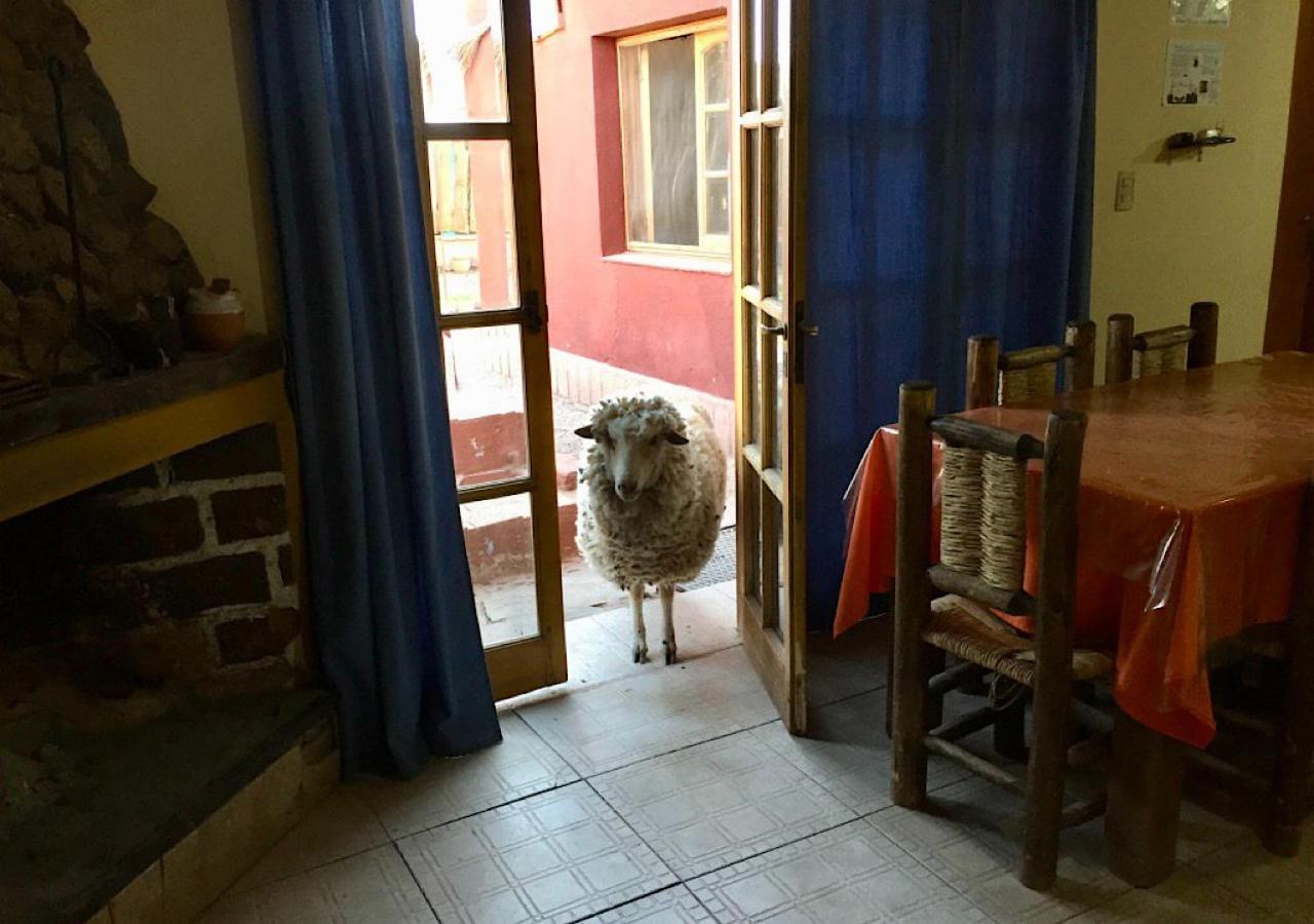 מלון Hosteria Huaco מראה חיצוני תמונה